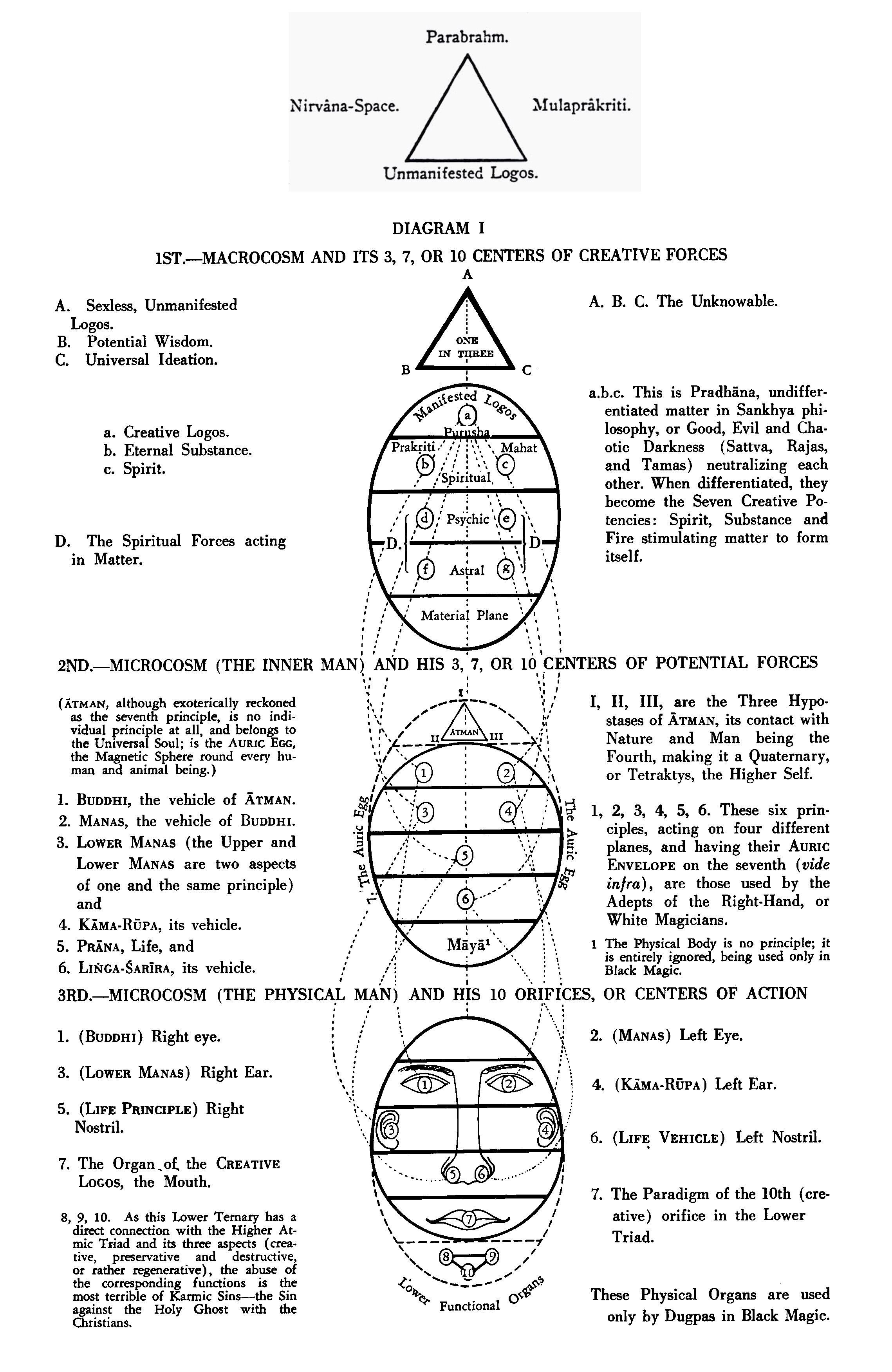 H. B. Blavatsky's Model fra Esoterisk Sektion