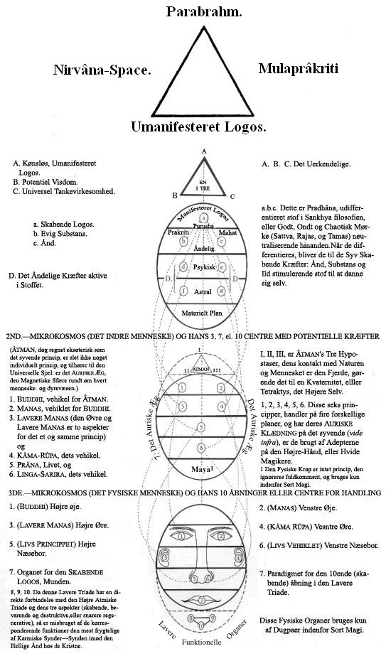 H. B. Blavatsky's Model fra Esoterisk Sektion